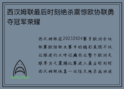 西汉姆联最后时刻绝杀震惊欧协联勇夺冠军荣耀 西汉姆联最后时刻绝杀震惊欧协联勇夺冠军荣耀
